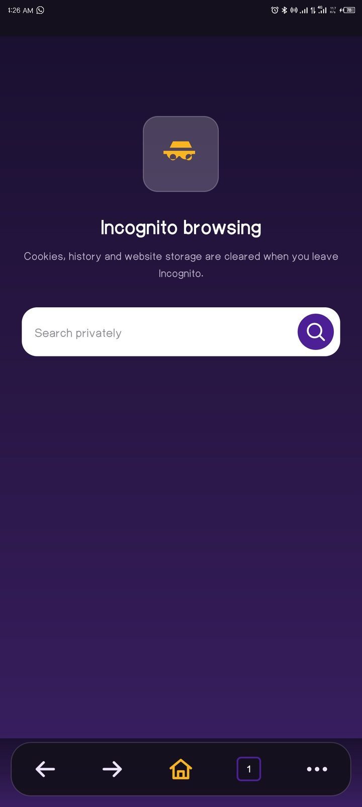 SSG Browser Incognito start screen